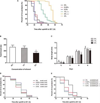 Ethanol Alleviates Amyloid-β-Induced Toxicity in an Alzheimer’s Disease Model of Caenorhabiditis elegans